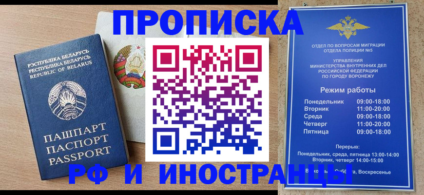 пропишу в квартире в Павловске