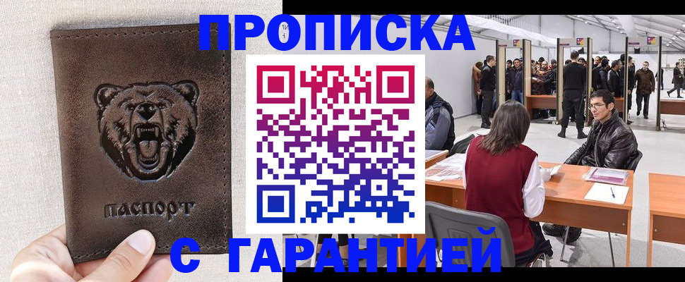 временная регистрация поиск в Павловске